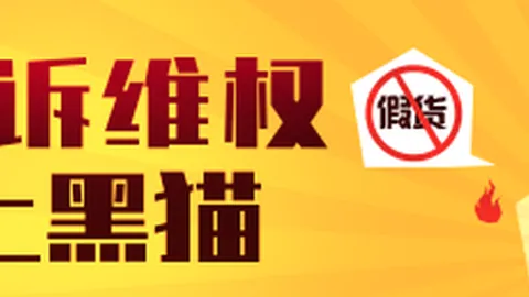 电竞战队新成员亮相，新赛季备战启
